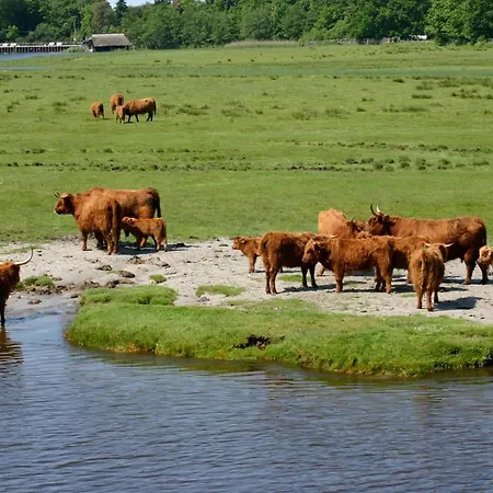 Admiral Stuuv Apartamento *